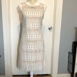 White lace knee length dress 10
